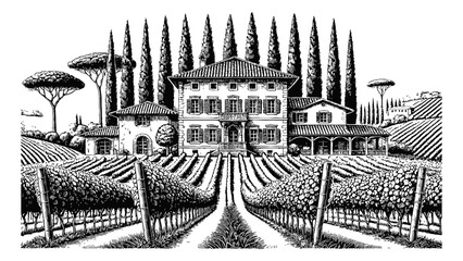 Wall Mural - mediterranean villa surrounded by lush vineyards and tall cypress trees engraving black and white ou