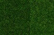 © Priscila - High Resolution Soccer Grass Surface 6K