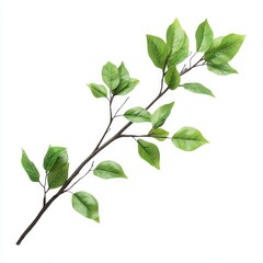 Single artificial branch with green leaves isolated on white background.