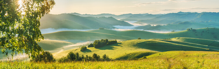 Wall Mural - Panoramic morning landscape, fog and hills, spring greenery