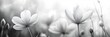 © EpicFade - Serene Monochrome Flower Meadow Delicate Petals Soft Light Tranquil Nature Scene
