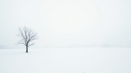 Wall Mural - snowy landscape with a single bare tree