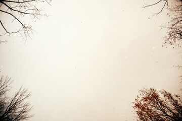 Aufkleber - Snowflakes gently fall in a tranquil winter landscape featuring bare trees against a pale gray sky with ample copy space on the right side for text or graphics