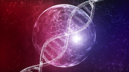 Wall Mural - loop 3d dna chain and digital sphere rotation on colourful digital background.