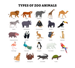 Wall Mural - set of different types of zoo animal collection for education poster, vector illustration with lion,