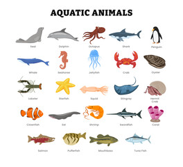 Wall Mural - set of different types of aquatic animal collection for education poster, vector illustration with s