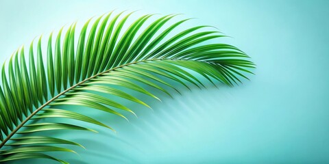 Aufkleber - A single palm frond with vibrant green leaves casts a shadow on a soft, blue backdrop, creating a simple yet elegant tropical aesthetic.