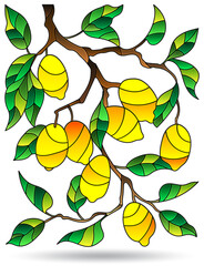 Wall Mural - Illustration of stained glass Windows with lemon leaves and fruit branches, isolated on a white background