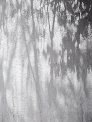 Wall Mural - white textured wall: A simple yet striking photo of a pristine, rough-textured white wall filling the entire frame, gently bathed in the light and shadows cast by the trees above