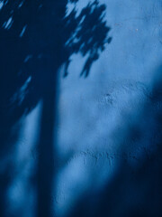 Wall Mural - deep blue textured wall: A simple yet striking photo of a pristine, rough-textured deep blue wall filling the entire frame, gently bathed in the light and shadows cast by the trees above