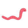 © Igor - Earthworm crawling. Flat vector illustration on white background.