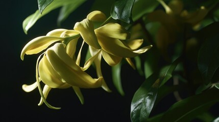 Sticker - A close-up shot of a group of bright yellow flowers