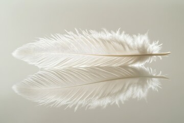 Aufkleber - A close-up image of a delicate white feather with its soft textures and subtle reflections, symbolizing purity, lightness, and grace in a minimalist style.