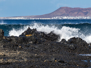 Poster - Fuerteventura