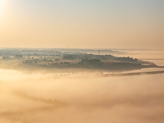 Wall Mural - Sunrise and fog in rural forest