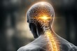 © vilaiporn - An anatomical illustration highlighting the human brain and spine, showcasing the intricate connection of nerves.
