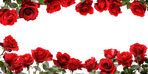 Wall Mural - red roses frame border for text and design with copy space, isolated on a transparent background. pn