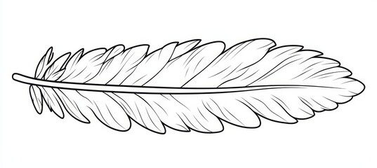 Wall Mural - bird feather line art illustration, coloring page with outline of a large detailed feather vector