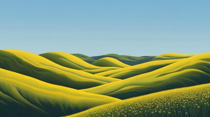 Wall Mural - Rolling hills of yellow canola fields under a bright blue sky with ample copy space