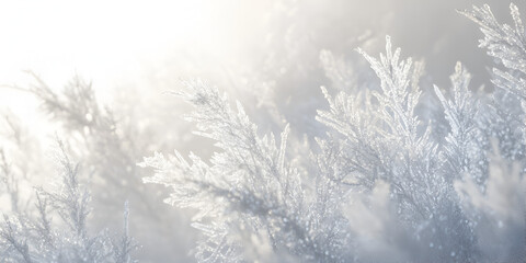 Wall Mural - Winter Wonderland: Frost-covered branches glisten in the soft, diffused light of a winter morning, creating a serene and magical scene.