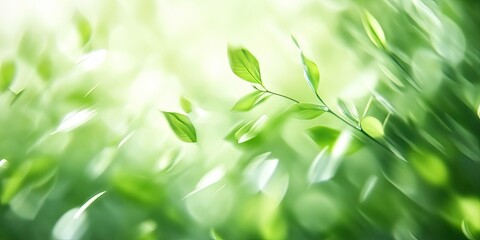 Wall Mural - Abstract green foliage background featuring blurred leaves in varying shades of green with soft bokeh effects and gentle light at center.