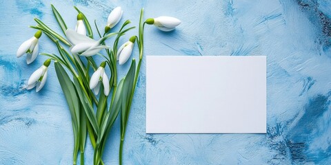 Wall Mural - Snowdrops flowers in white with vibrant green leaves beside a blank greeting card on textured light blue background in a flat lay composition