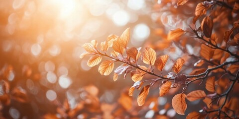 Canvas Print - Backlit brown leaves on a tree with a bright corner, horizontal composition, ample space for text on the right, warm tones and soft bokeh.