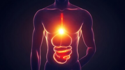 Poster - Glowing human torso showcasing a brilliant red focal point illuminated in the stomach area at night. Generative AI