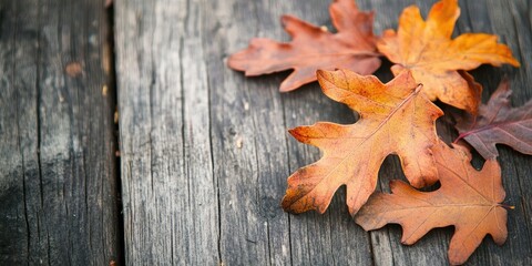 Wall Mural - Closeup of vibrant autumn leaves in warm orange and brown hues resting on textured weathered wood background with natural soft lighting