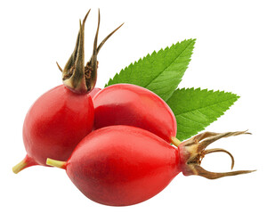 Wall Mural - rose hip isolated on white background, full depth of field