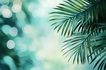 tropical palm leaves in a natural blurred environment creating a summer vibe
