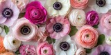 Colorful flat lay of ranunculus and anemone flowers in various shades of pink, white, and orange, arranged with ample copy space for design.