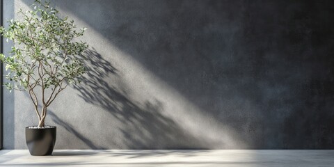 Poster - Modern textured wall background in dark gray with soft light casting shadows on the floor, featuring a potted plant in the left foreground.