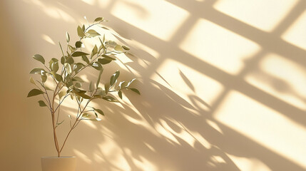 Poster - Minimalistic concept of a green plant in front of a beige wall with sunlight streaming through a window, casting soft shadows on the floor. Perfect for interior design, natural light, and mockup backg