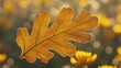 © PB Studio - close-up of a single chrysanthemum leaf, emphasizing its glossy texture and unique shape against a blurred natural background. Chrysanthemum leaves
