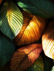 Poster - Colorful autumn leaves pile illuminated by sunlight, showcasing vibrant hues and textures in a natural setting