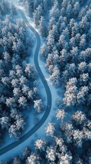 Aufkleber - Snowy road meanders through a tranquil forest landscape in winter