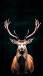 © Narongsag - Majestic Red Deer Stag Portrait  Antlers  Wildlife  Nature Photography  Dark Background