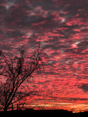 Wall Mural - spectacular fiery sunset with silhouette