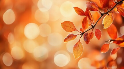Aufkleber - Autumn foliage glows in warm terracotta and burnt orange bokeh tones during a serene afternoon