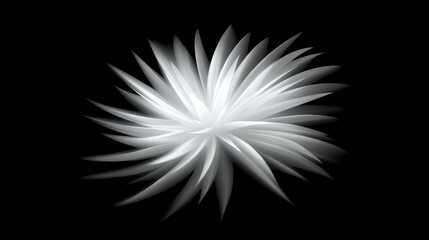 Leinwandbilder - stunning abstract flower design with white petals on black background, creating sense of elegance and depth