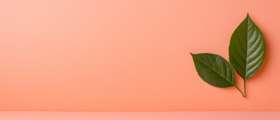 Aufkleber - Contemporary Minimalist Eco Leaf-Formed Recycling Symbol on Coral Background - Sustainable Branding for Circular Economy and Eco-Friendly Marketing Campaigns