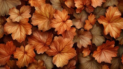 Autumn leaves pattern with brown and orange foliage