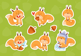 Wall Mural - funny squirrel animal character with bushy tail vector set