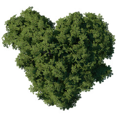 Wall Mural - tree top view plant landscape architecture nature garden aerial render. trees branch isolate collect