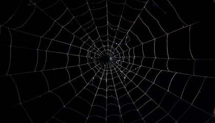 close-up-spiders-web-on-retro-vintage-black-color
