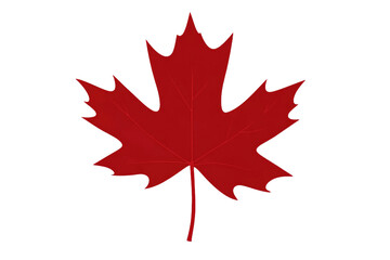 red maple leaf is shown on a white background