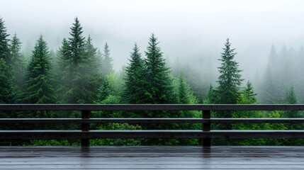 Canvas Print - wooden bench in the misty forest