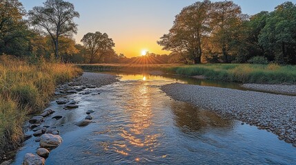 Poster - Tranquil river sunrise landscape with golden sunlight reflecting on calm water, surrounded by trees and autumnal grasses.