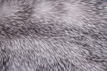 close up of soft fur texture, light grey furry background